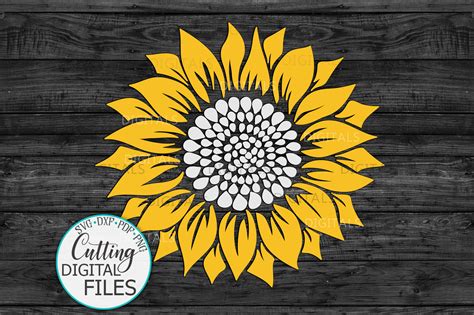 Download 53+ sunflower cricut design Images